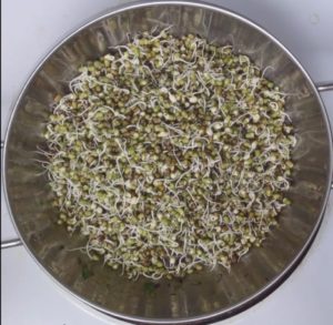 Molake Kalu Palya