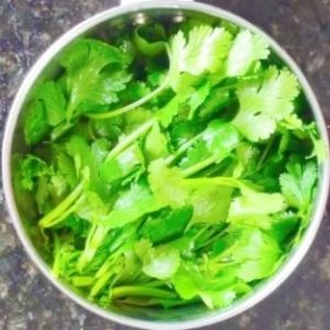 Recipe for panipuri pani