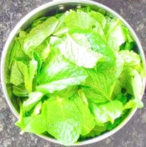 Recipe for panipuri pani
