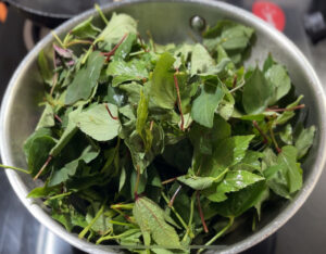 Gongura recipe