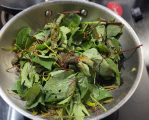 Gongura recipe